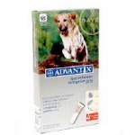Advantix for Dogs Large Breed Over 25 kg